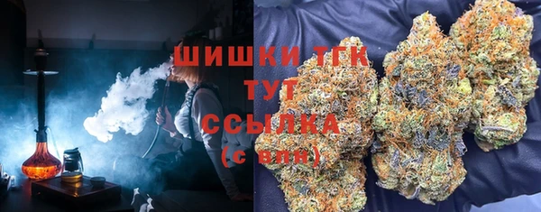 ECSTASY Волоколамск