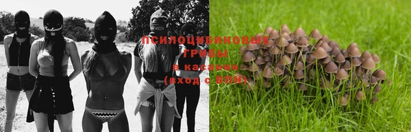 мяу мяу мука Володарск