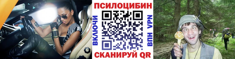 Галлюциногенные грибы Magic Shrooms  Купить  Черноголовка 