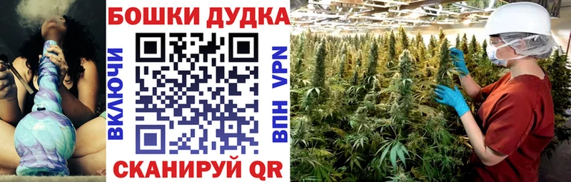 Купить закладки  Черноголовка  Каннабис AK-47 